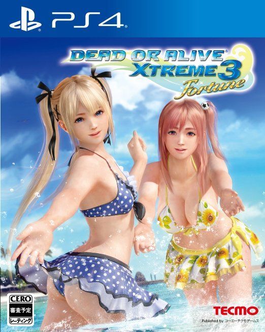 PS4死或生沙滩排球3幸运中文版