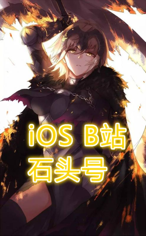 命运冠位指定fgo iOS国服石头号 确认自动发码